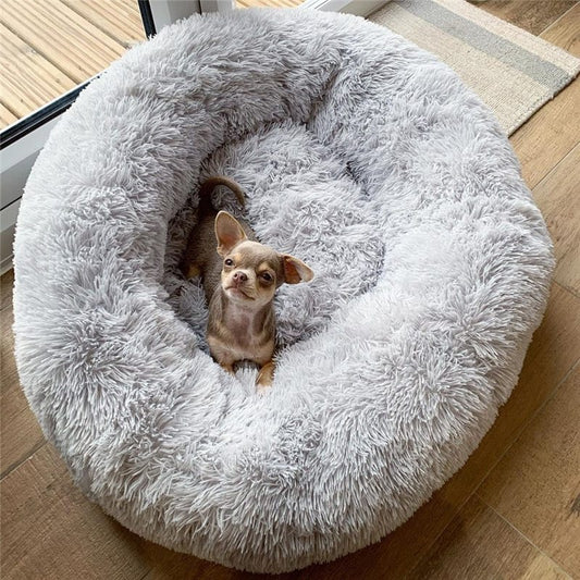 Small dog using Petnomo Plush Dog & Cat Bed