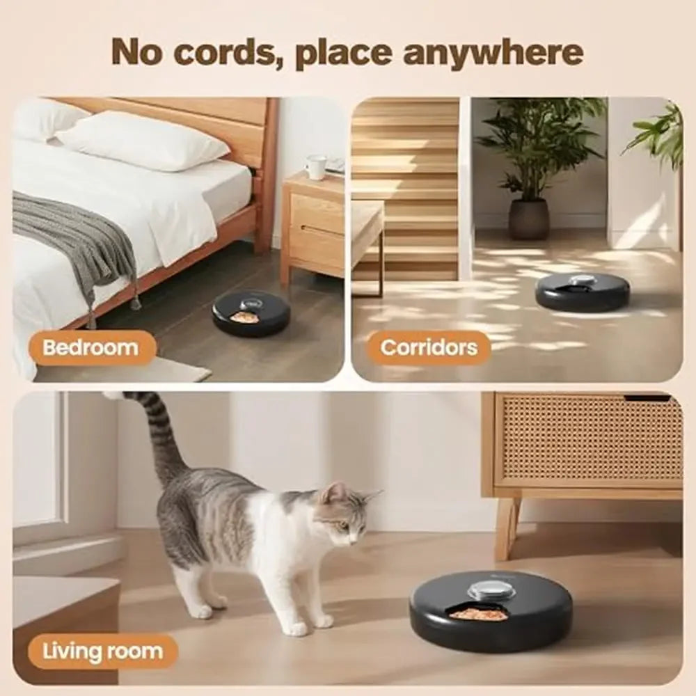 Petnomo Automatic Cordless Wet Food Feeder