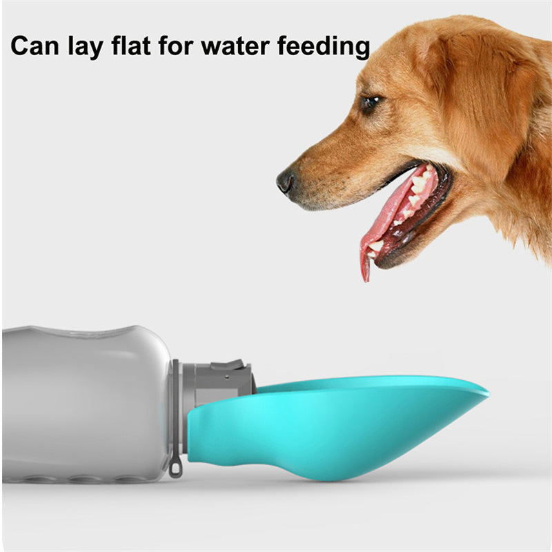 Petnomo 800ml portable water bottle with foldable bowl – leakproof design
