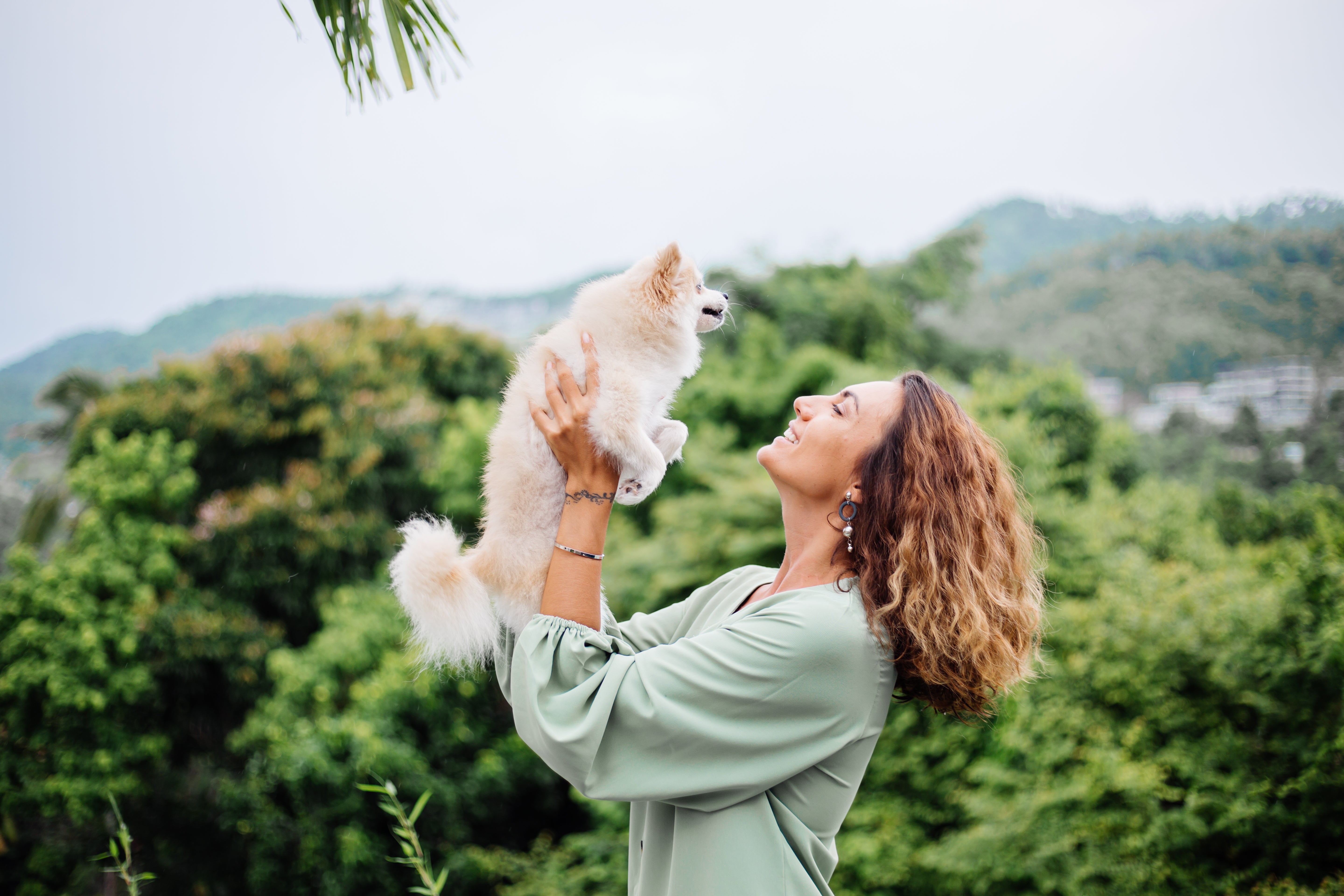 Smart fountain for cats and dogs - Petnomo