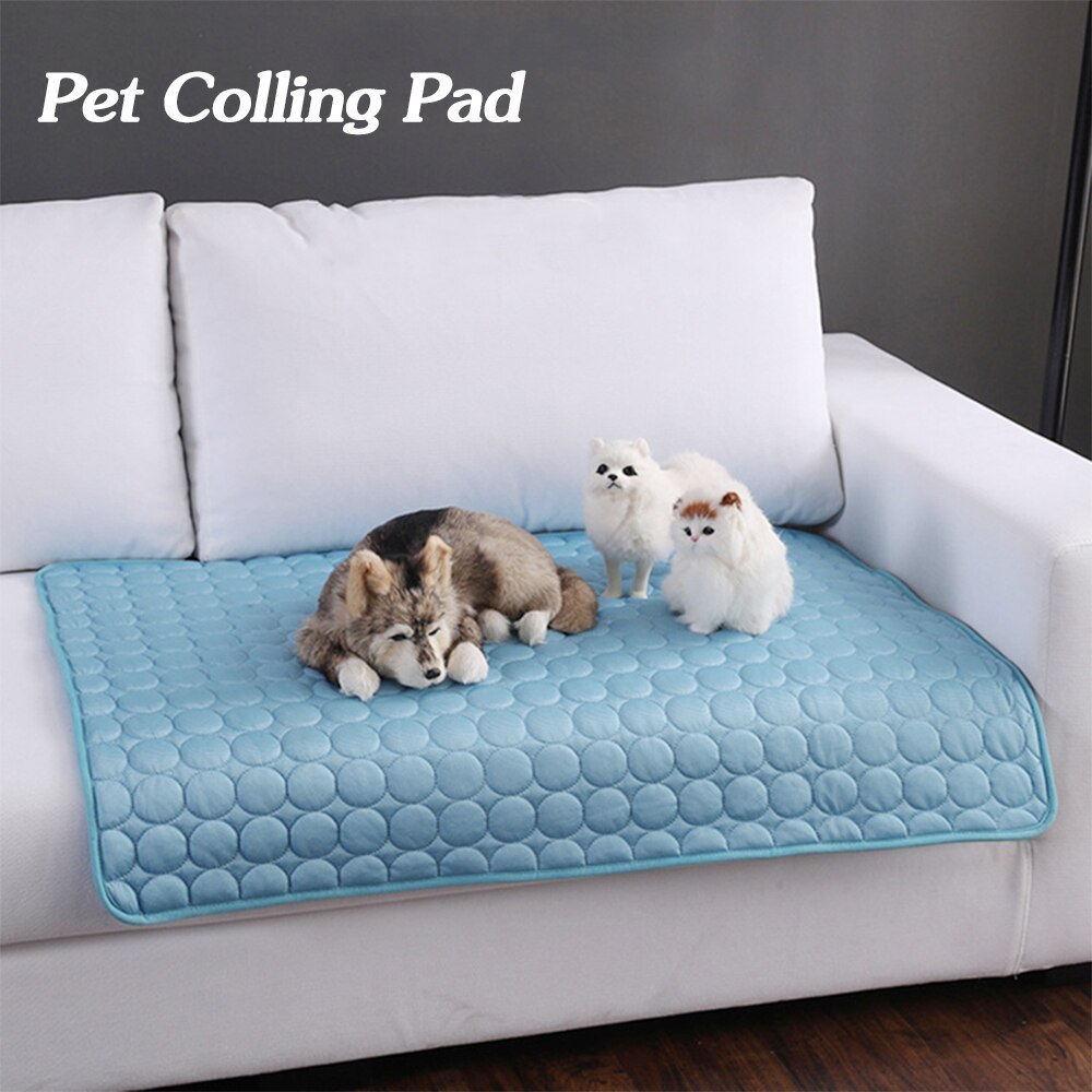 Dog and Cat using Petnomo Ice Silk Cooling Pad – Breathable Summer Mat for Dogs & Cats