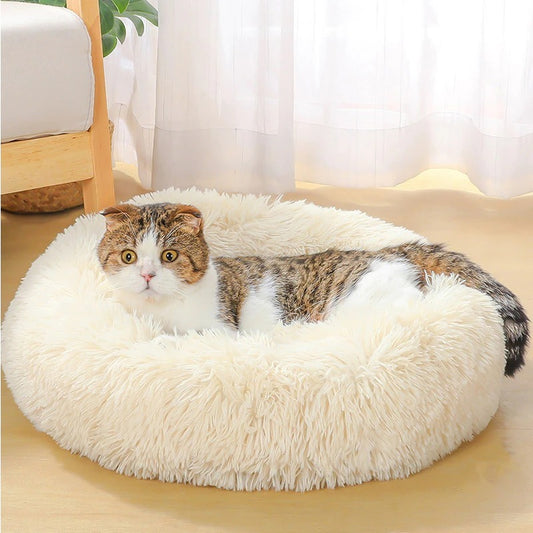 Cat using Petnomo Plush Dog & Cat Bed