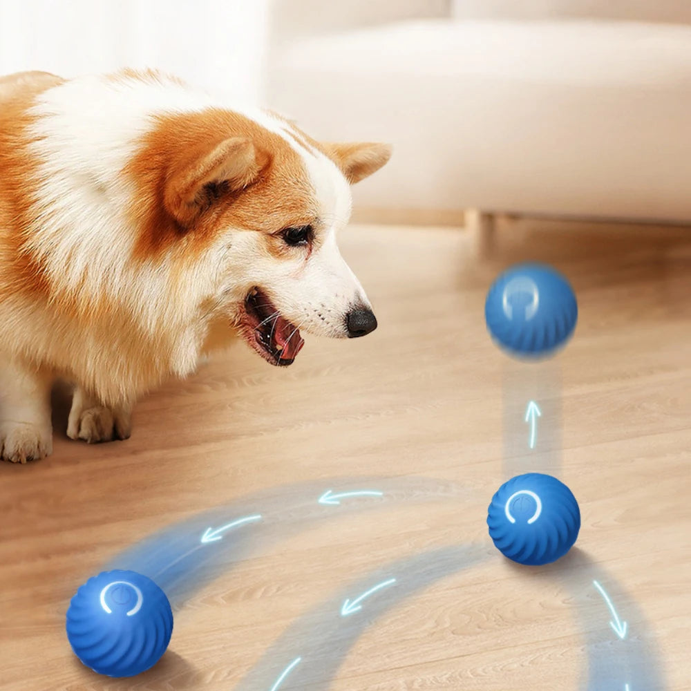 Petnomo MotionBall rechargeable interactive toy for dogs and cats – jumps and spins