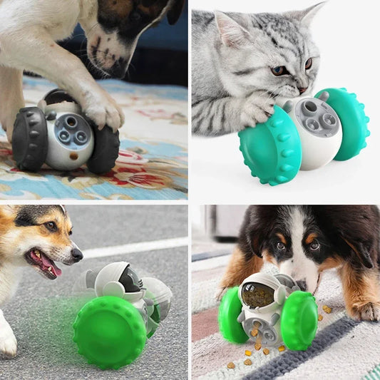 Cat and Dog using Petnomo robot puzzle toy for dogs – interactive treat dispenser for mental stimulation