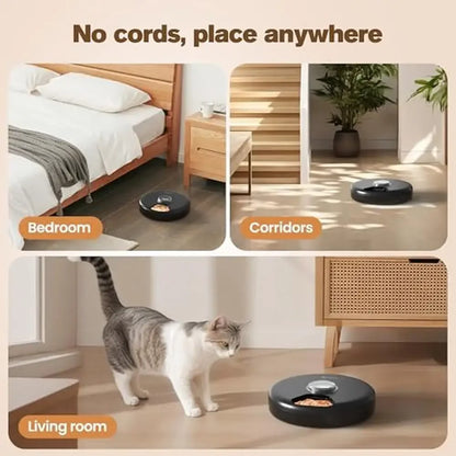 Petnomo Automatic Cordless Wet Food Feeder 
