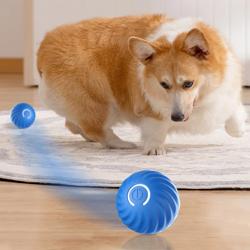 Petnomo MotionBall rechargeable interactive toy for dogs and cats – jumps and spins