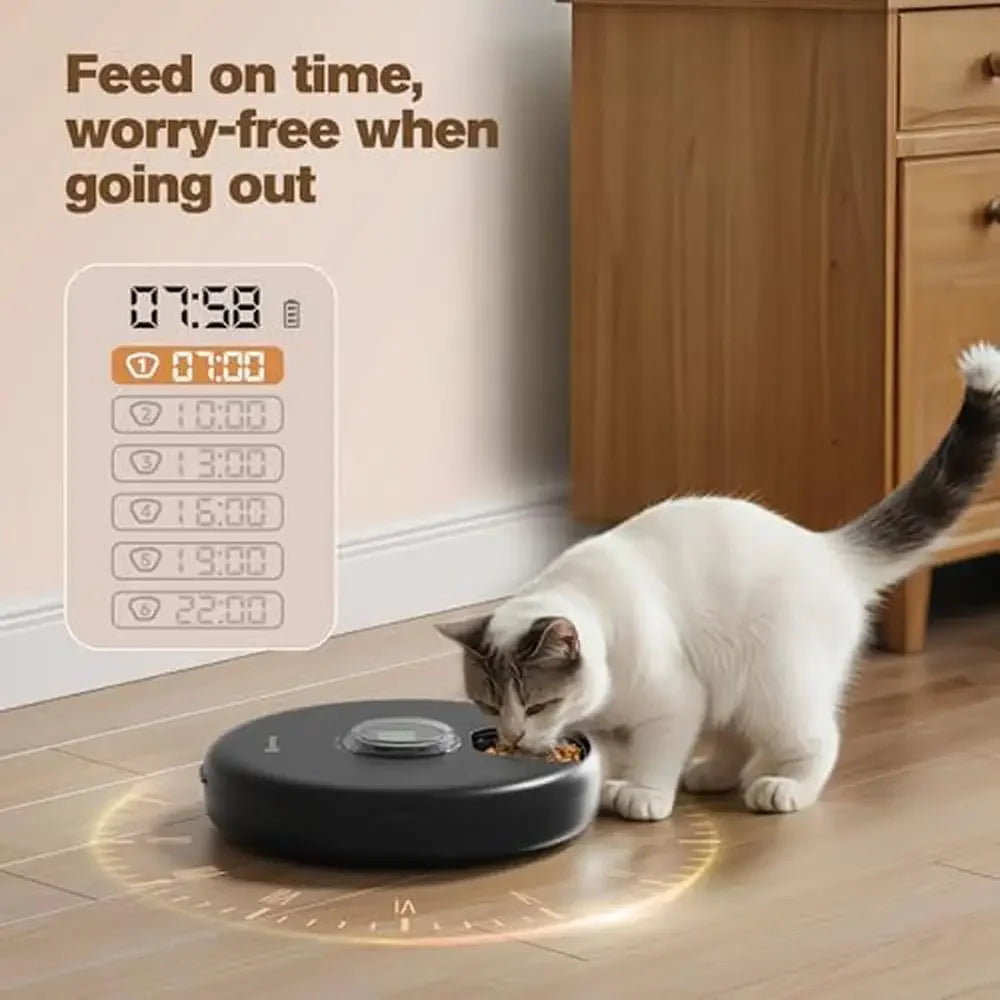 Pet cat using Petnomo automatic cordless wet food feeder