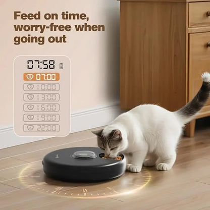 Pet cat using Petnomo automatic cordless wet food feeder