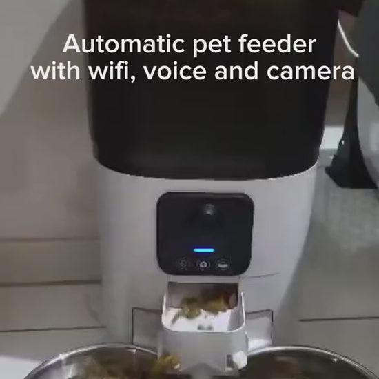 Cats using Petnomo Dual Bown Smart Feeder with camera
