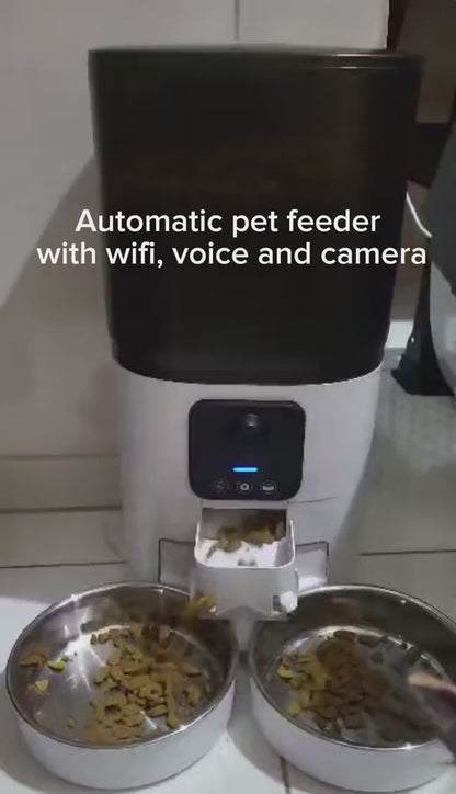 Cats using Petnomo Dual Bown Smart Feeder with camera