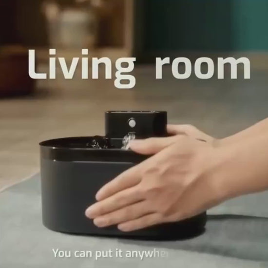 Cat Using Petnomo cordless cat water fountain with motion sensor and quiet operation